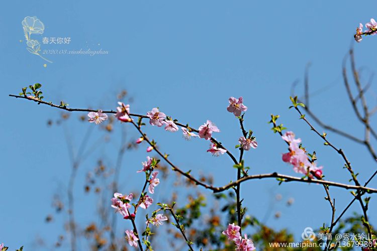 凯时尊龙·(中国)集团_image9084