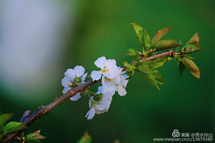 凯时尊龙·(中国)集团_首页4385