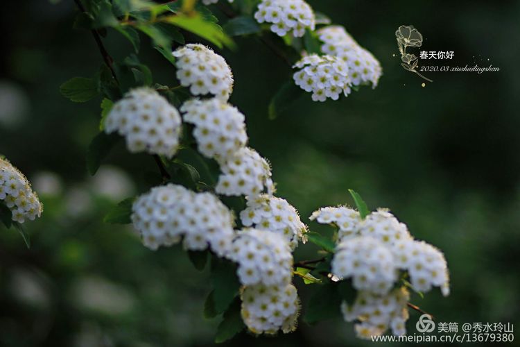 凯时尊龙·(中国)集团_首页3720